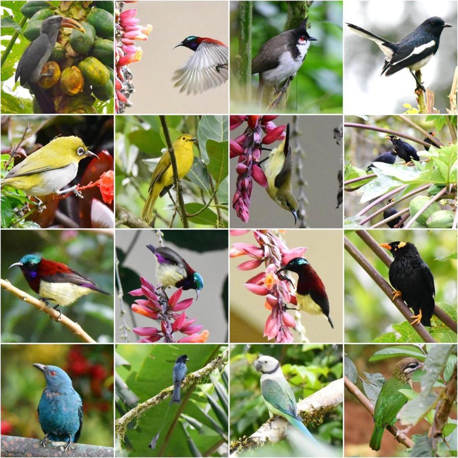 Flower Valley Plantation Homestay Munnar Esterno foto