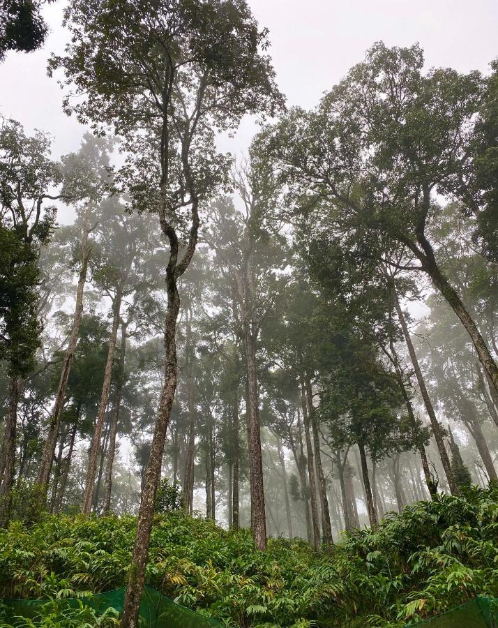 Flower Valley Plantation Homestay Munnar Esterno foto